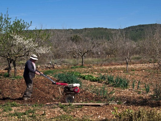 La mitad de los agricultores que reciben ayudas de la PAC tienen más de 65 años, según un estudio de la Unió