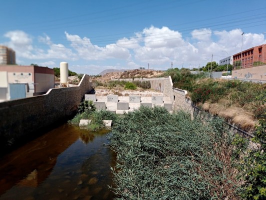 Vecinos de Gran Vía Sur de Alicante persisten en reclamar la limpieza del Barranco de las Ovejas