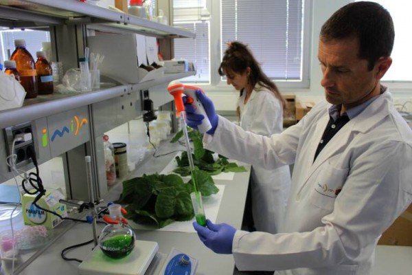 El IMIDA recibe una inyección de más de un millón de euros para proyectos de I+D+i en el sector agroalimentario