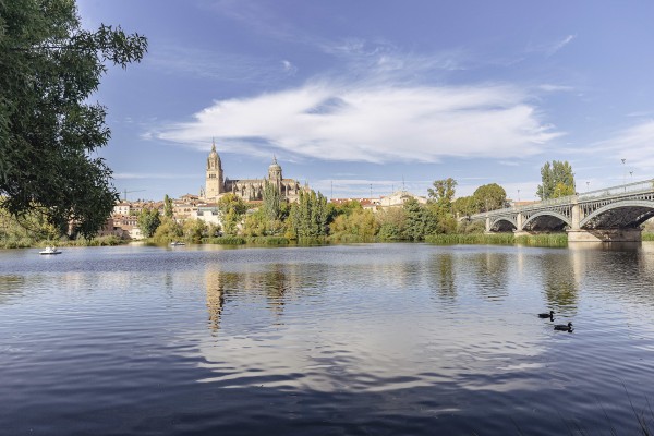 Salamanca, una fiesta para los ojos y el espíritu