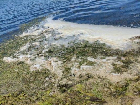 Cartagena recibe 3,5 millones para evitar vertidos al Mar Menor y programa 21 actuaciones 