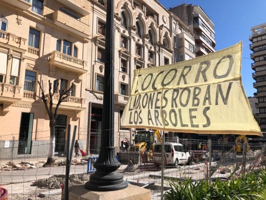 Alicante ejecuta entre protestas el traslado de las melias por la peatonalización de Constitución
