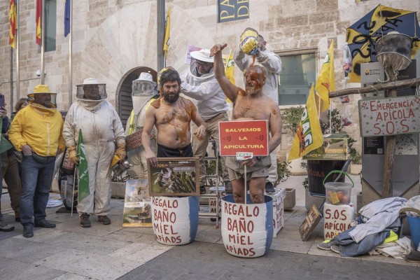 Apicultores se bañan en miel ante Les Corts para protestar por la 