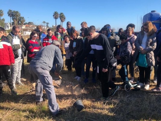 Un centenar de escolares plantarán árboles en la zona del Arenal de Burriana durante un mes