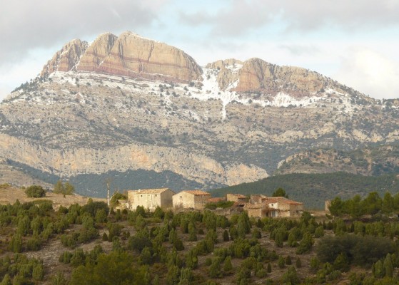 El TSJCV da ocho meses a la Generalitat para iniciar los planes para reducir el ozono en las zonas más afectadas