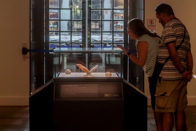 Descubren una nueva comedia de Lope de Vega en la Biblioteca Nacional