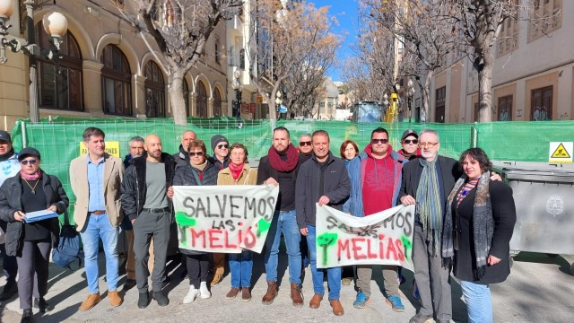 El eje progresista de Alicante insiste en el respeto de las melias de Constitución y pide informes
