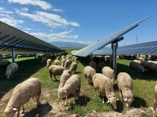 La 'joint venture' Atitlan-Awergy: 91 millones de inversión y 205 MW de potencia en el Vinalopó