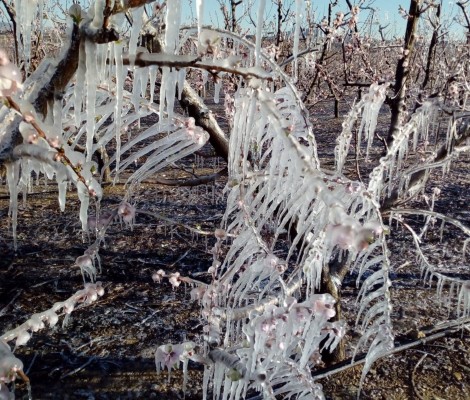 Temperaturas de hasta -4 grados dejarán este domingo al Noroeste y al Altiplano en alerta amarilla