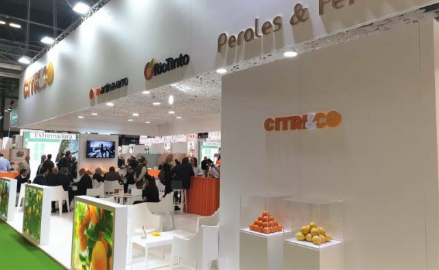 Citri&Co 'se juega' más de 4 millones de euros por discrepancias con Hacienda