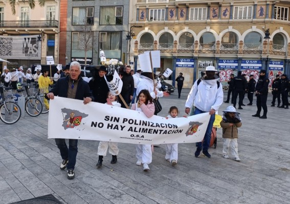 Los apicultores valencianos toman las calles: 