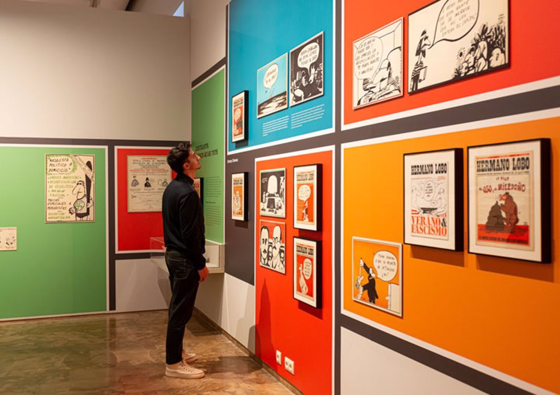 Exposición de Hermano Lobo en La Nau. Foto: FRANCO GOYENECHEA BUSCAGLIA/UV - 