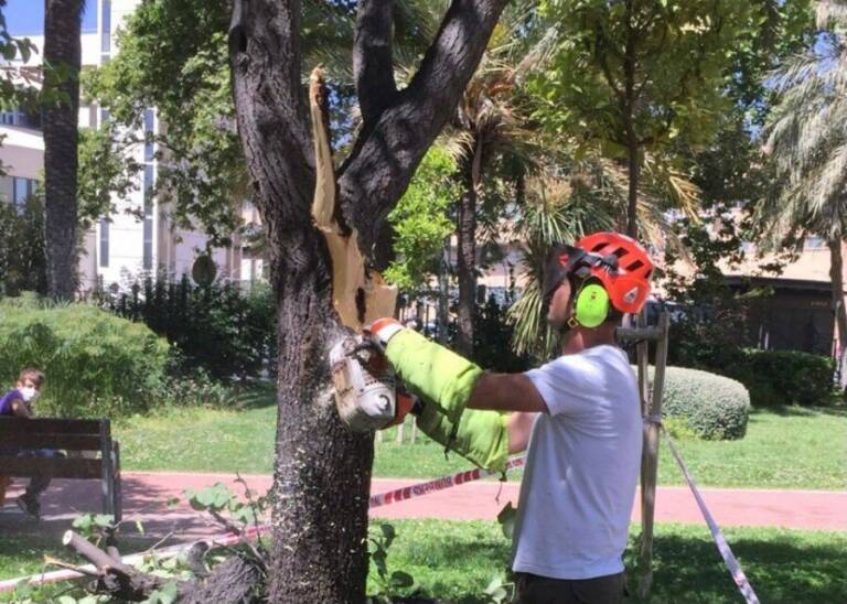 Foto: AYUNTAMIENTO DE VALÈNCIA - 