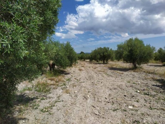 Cotec ofrece ayudas a proyectos que impulsen la economía circular en comunidades rurales