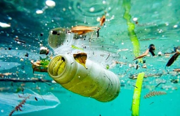 Las costas de la Región y Alicante tienen la mayor densidad de plásticos flotantes del sureste