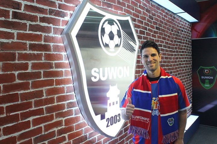 Gavilán vuela alto en Corea del Sur
