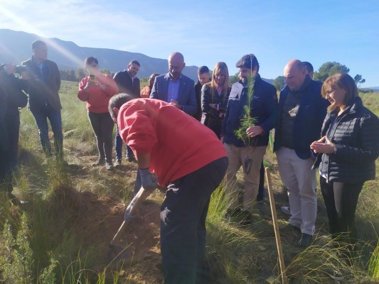 Disfrimur inicia en Calasparra su proyecto para reducir el impacto de las emisiones de CO2