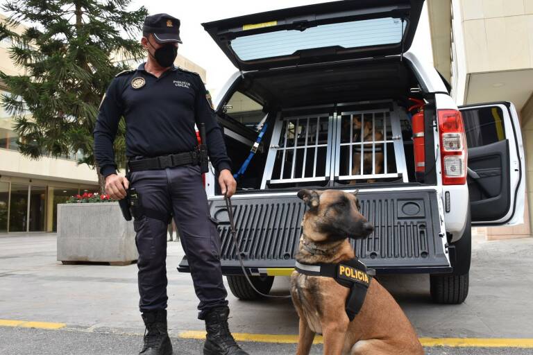 Castelló reúne unidades caninas de 20 municipios en una jornada sobre búsqueda y detección de drogas

