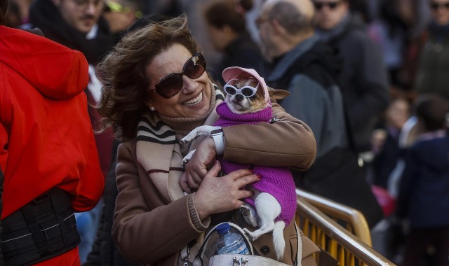 Las mascotas reciben su bendición por Sant Antoni: 