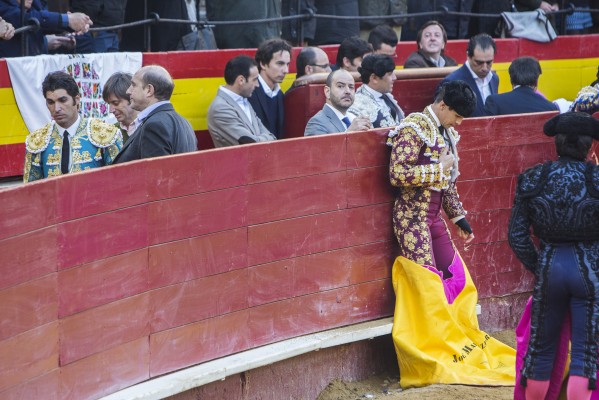 Toros, Fallas, Unesco: 24.000 firmas avalan la reivindicación animalista

