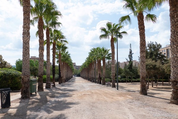 Los parques de la Rosa y Sauces contarán con un quiosco-bar similar al de Antonete Gálvez 