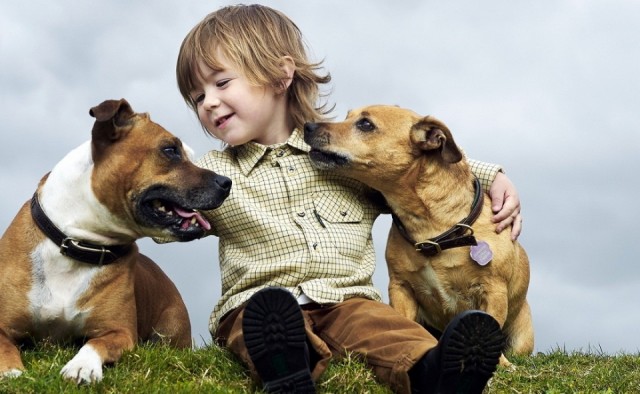 Las mascotas ayudan al proceso de madurez del niño, según una experta