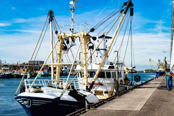 El IVA, el gasóleo y Marruecos marcan un calendario apretado para la pesca en 2023