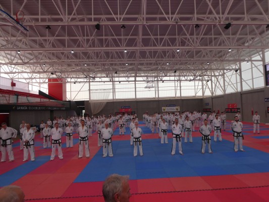 190 taekwondistas de siete países entrenan La Nucía
