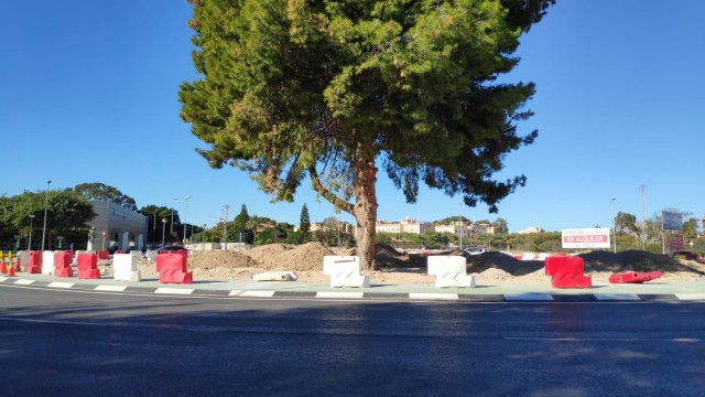 Sant Joan habilita una rotonda en la Avenida Benidorm para facilitar el tráfico rodado