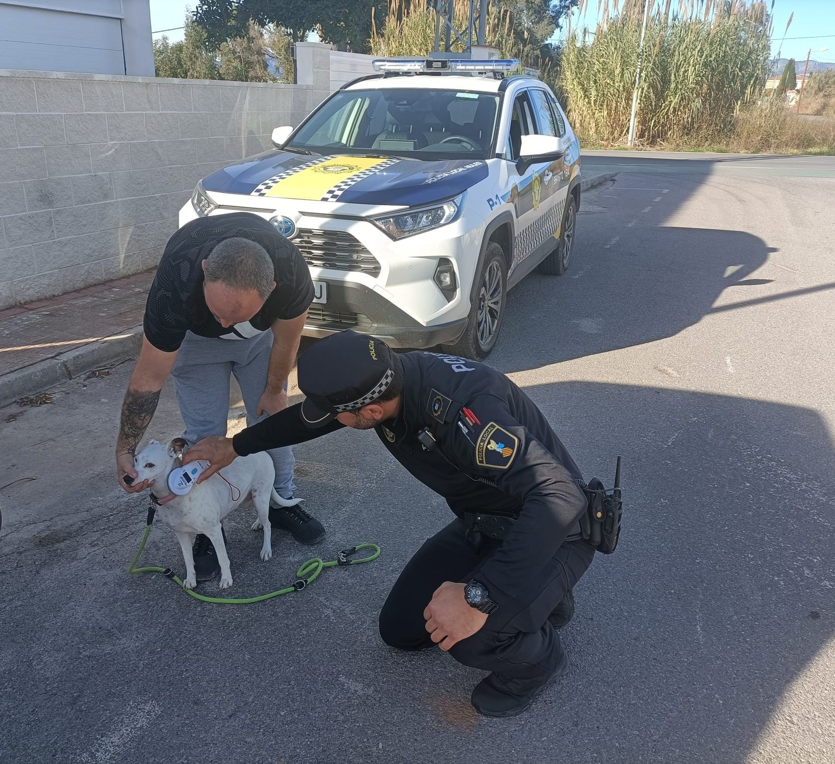 Nules refuerza los controles de perros por el incremento de excrementos en las calles