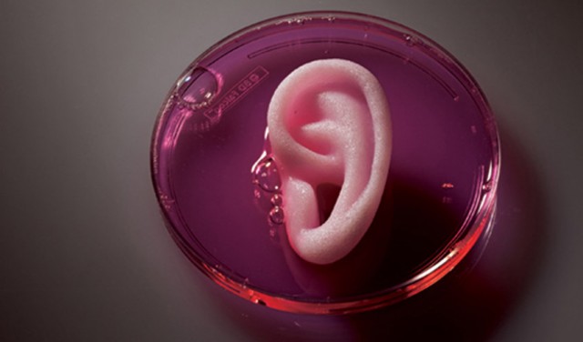 Medicina del futuro: bioimpresión y cirugía robótica