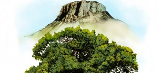El cómic que cuenta como Sierra Espuña se convirtió en un paraíso llega a Alhama
