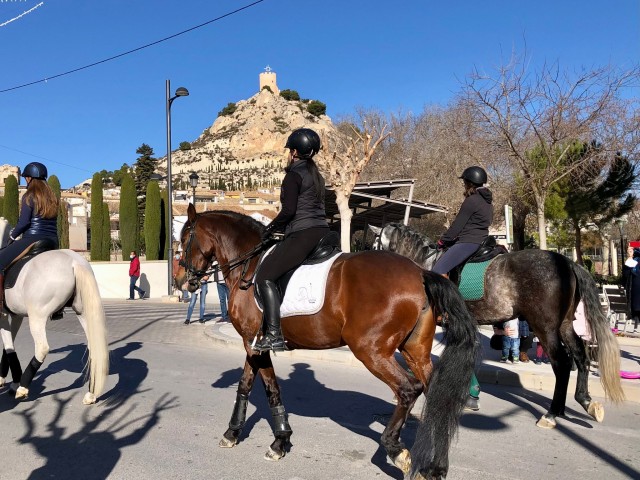 Los animales, protagonistas en la celebración de San Antonio Abad en Castalla