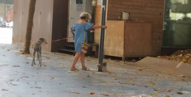 Sanidad tramita más de 250 sanciones y cerca de 100.000 euros de multas por incumplir la normativa de bienestar animal en Cartagena