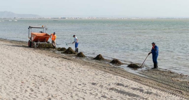 La Audiencia divide en dos la pieza principal del 'caso Topillo' por la degradación del Mar Menor