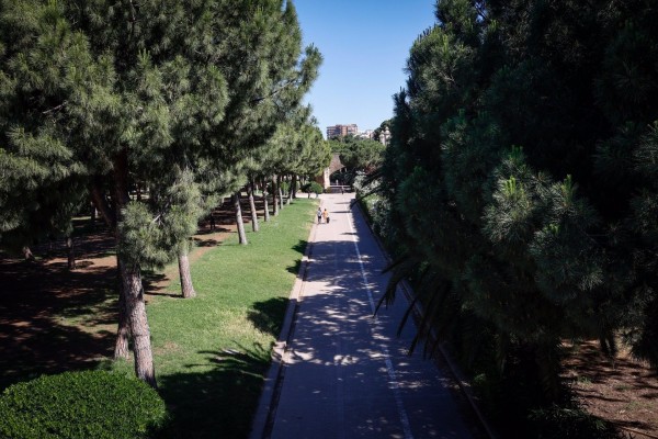 El Ayuntamiento adjudica el primer plan de mejora integral del Jardín del Túria
