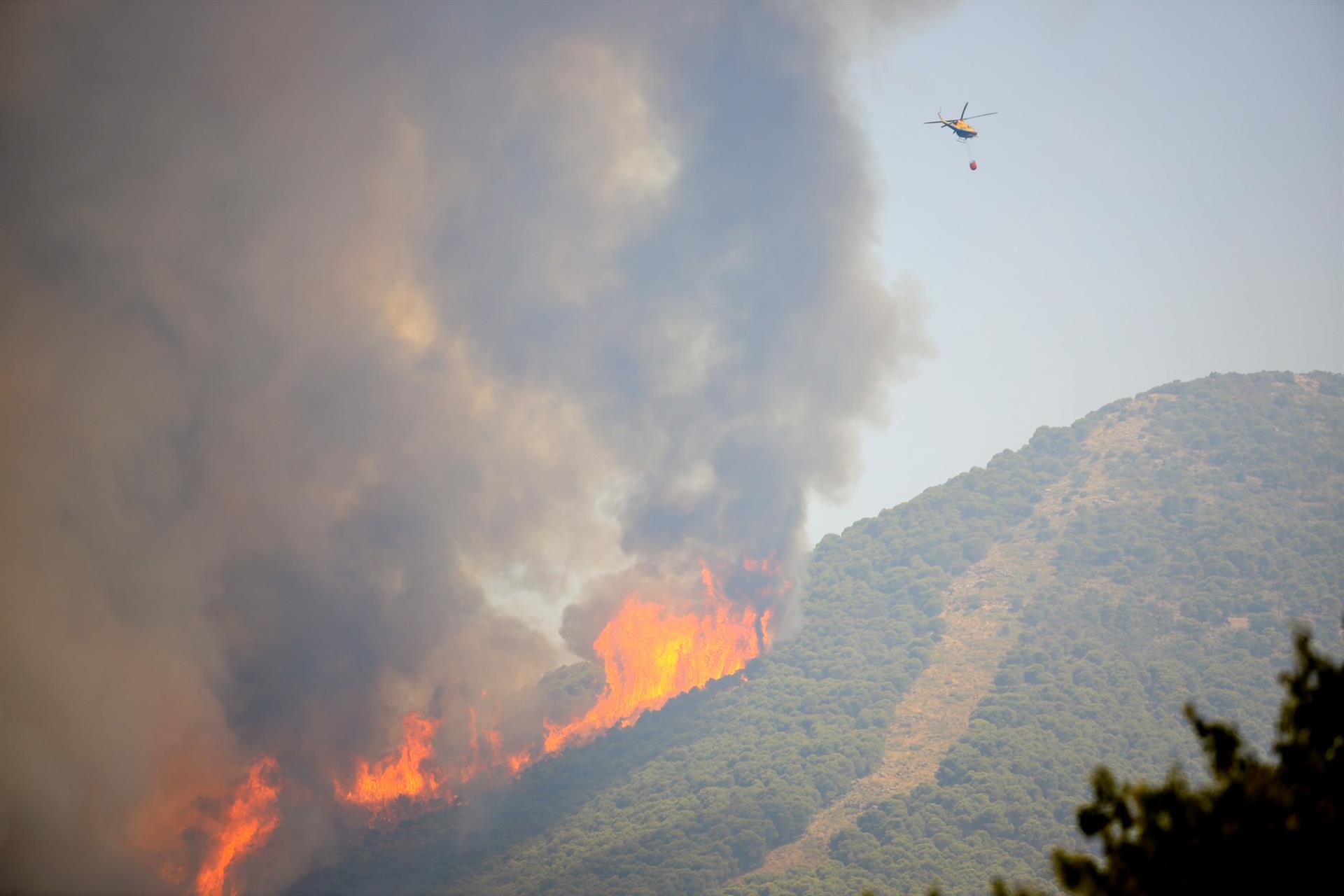 El BOE publica la convocatoria de ayudas para recuperar zonas afectadas por los incendios 