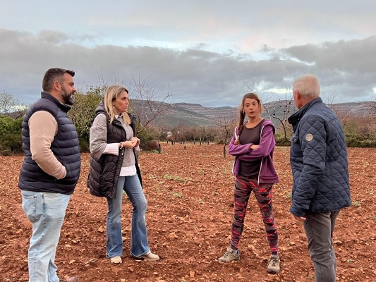 Barrachina propone reducir la carga fiscal agraria y ganadera en zonas en riesgo de despoblación