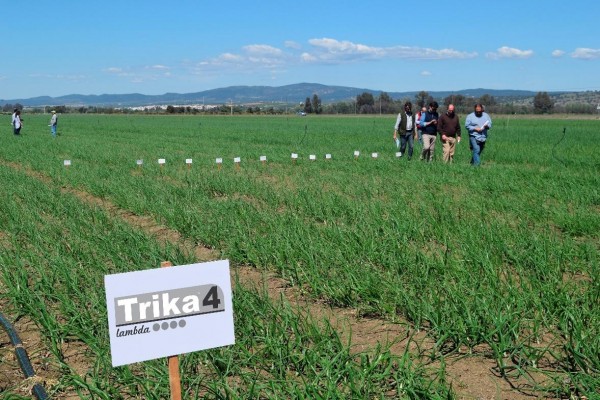 SIPCAM Iberia inaugura el 2023 con el estreno de dos nuevos insecticidas
