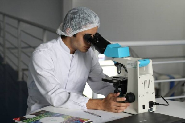 Las bacterias intestinales pueden desempeñar un papel en la diabetes, según un estudio