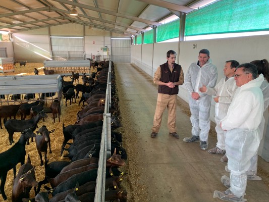 El Gobierno regional exige a Sánchez bajar también el IVA a la carne, el pescado y las conservas