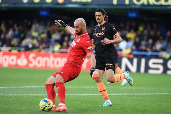 Reina: 