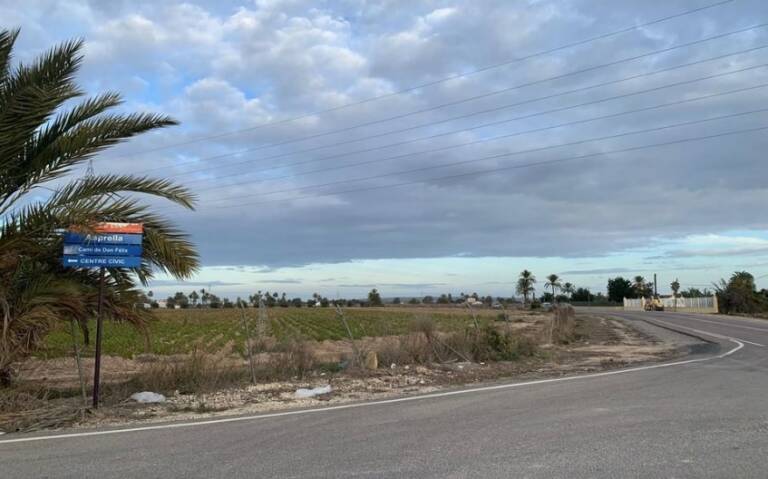El Consell autoriza otras cuatro plantas solares en Elche, con un gran proyecto en la pedanía de Asprella