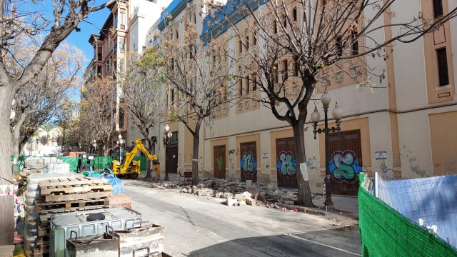 Transición Ecológica insta al bipartito de Alicante a conservar el arbolado en la reforma de Constitución