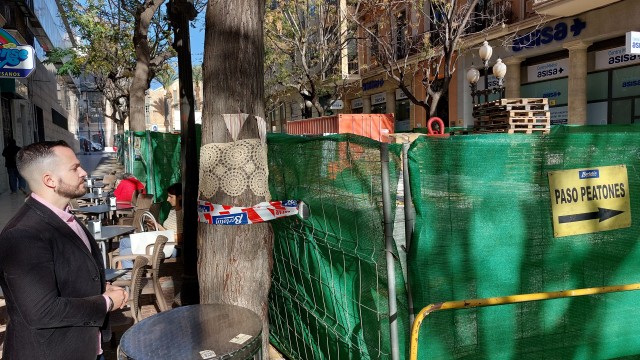 Compromís insta al bipartito de Alicante a precisar el traslado del arbolado de Constitución
