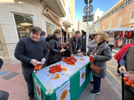 Borriana reparte más de 250 kg de clemenules para fomentar el producto local en Nochevieja
