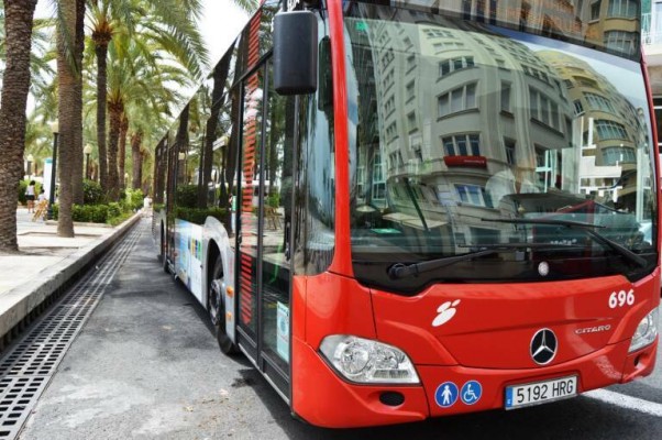 Alicante ratifica su compromiso de bonificar el bus y se inclina por sumar a la aportación del Estado