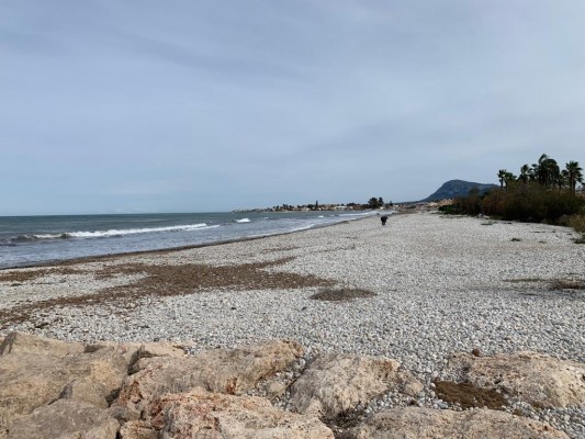 Dénia prorroga la contrata de limpieza de playas mientras prepara otra por 12 millones de euros