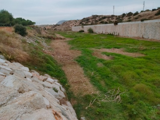 Alicante ejecuta la limpieza y desbroce preventivo del barranco de las Ovejas hasta la circunvalación