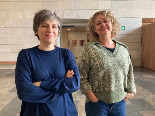 Radicantes: desnudando el proceso de creación